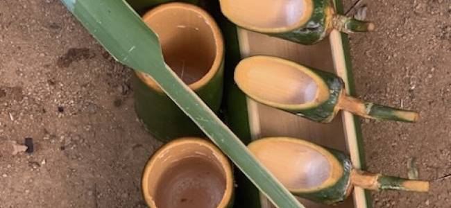 1 Day Learning: Bamboo